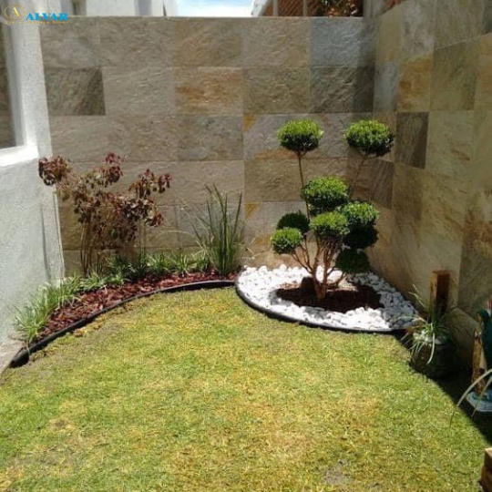 Tiểu Cảnh _010