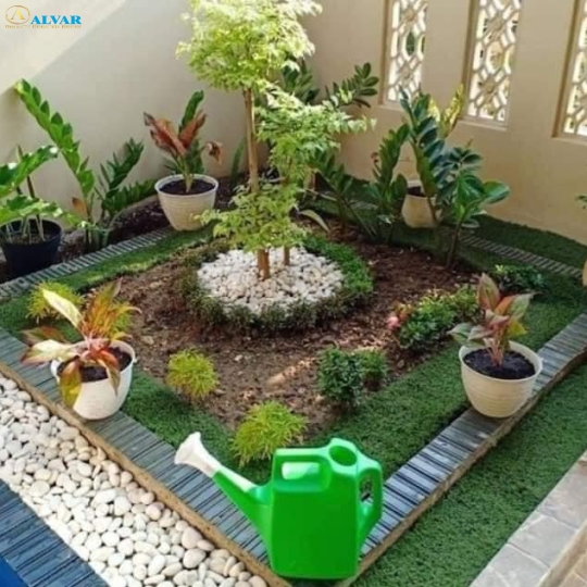 Tiểu Cảnh _001